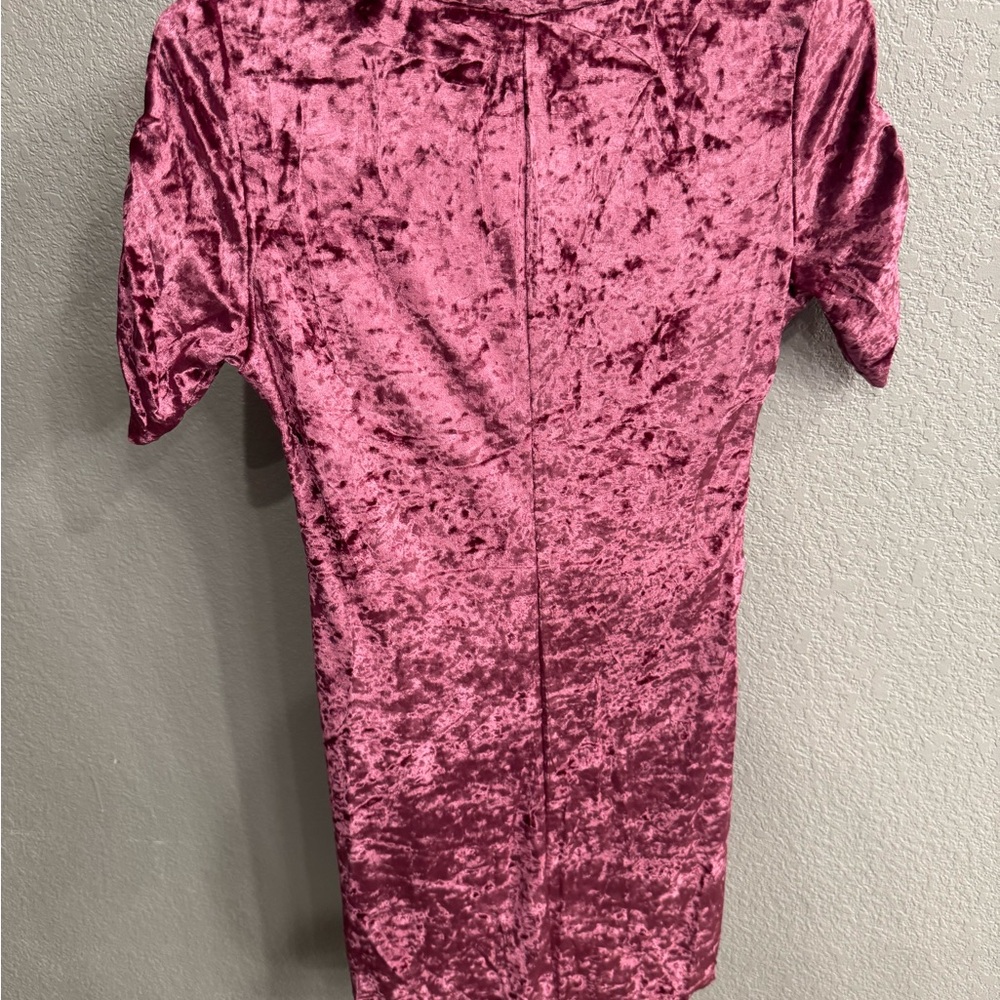 Velvet Ruched Dress - Picture 2 of 4